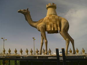 Camel